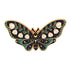 Pin "Green butterfly"