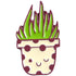 Pin Cactus Atragator