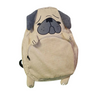 Ghiozdan Vulpe & Pug